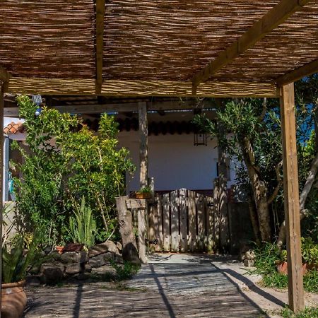 La Casa De Los Algarbes タリファ エクステリア 写真